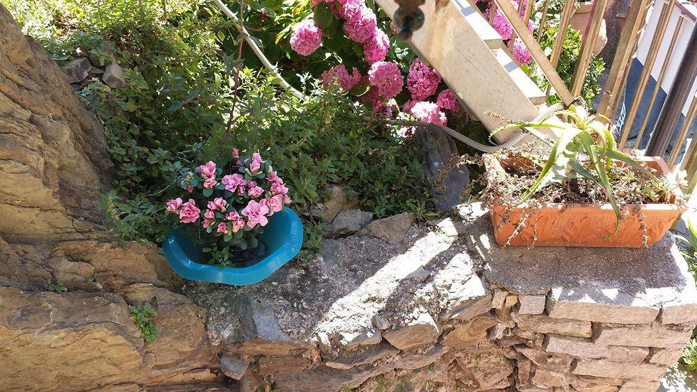 Affittacamere Elisabetta Vernazza Dış mekan fotoğraf